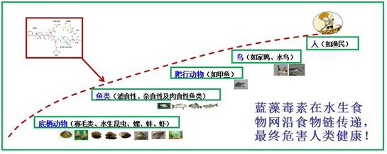 }.TRS_Editor SPAN{