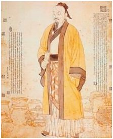 鱼该吃野生的还是养殖的