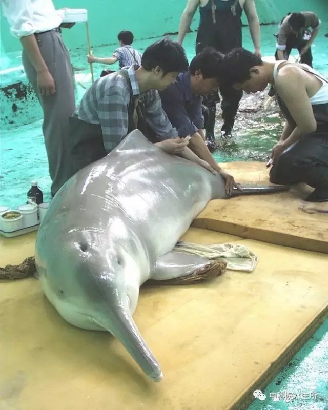 12pt