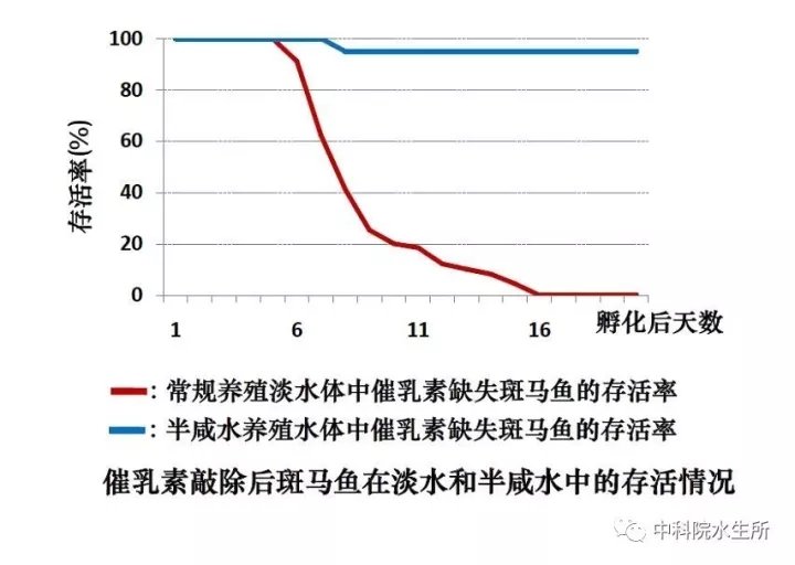 作者：殷战、翟刚