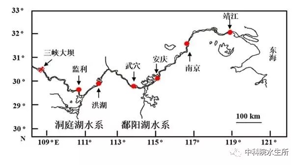 为什么鄱阳湖比洞庭湖对长江中下游鱼类