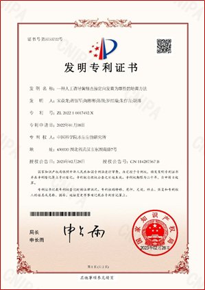 image.png 黄鳝雄性定向发育与高质量雄性亲鱼培育