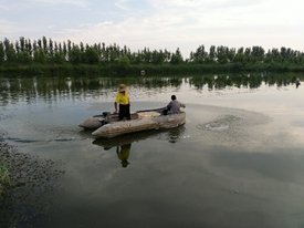 image.png 池塘鳜健康高效养殖技术