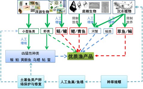 大水面生态净水渔业与生态修复关键技术