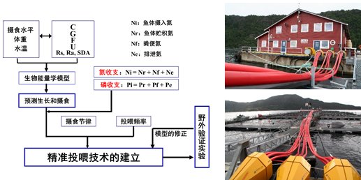 养殖鱼类精准投喂成套技术