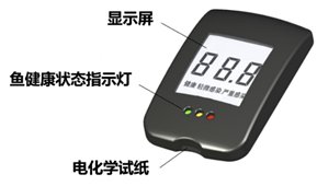 鱼类病毒病快检和治疗技术