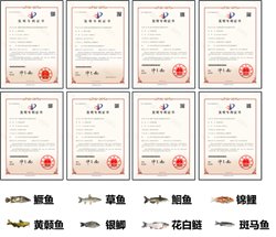 成果简介