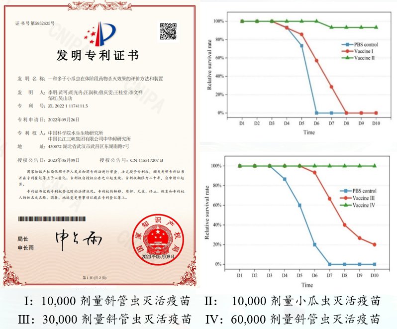 image.png 鱼类小瓜虫病的综合防控技术