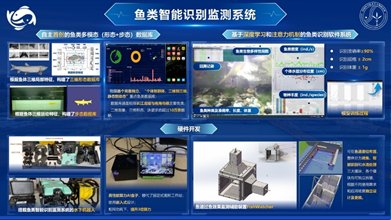 image.png 鱼类智能识别监测系统