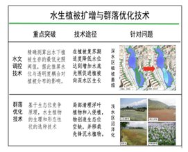 大型受污染湖泊水生植被面积扩增与群落