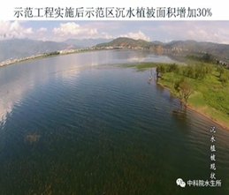 成果简介