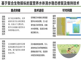 基于复合生物操纵的富营养水体清水稳态