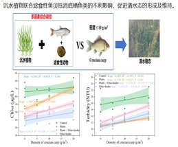 成果简介