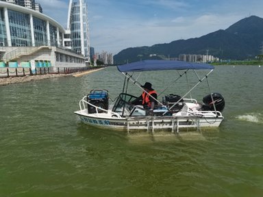 集群式超声波物理除藻技术