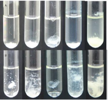image.png 高效菌胶团速成剂和模块化生物反应器技