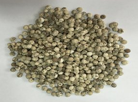 为劣质化底泥修复提供技术方案