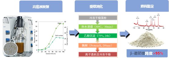 低分子量