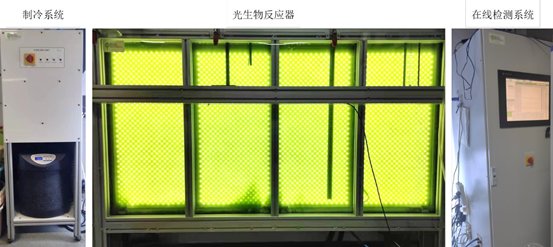裸藻资源化利用
