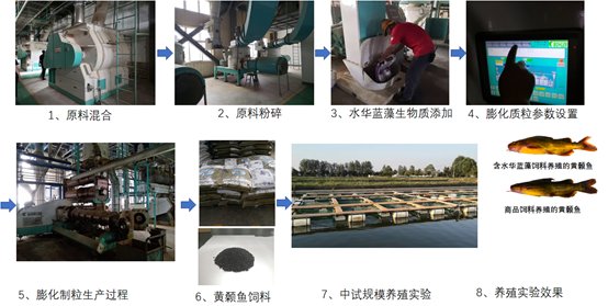 针对富营养化湖泊大量水华蓝藻生物质急