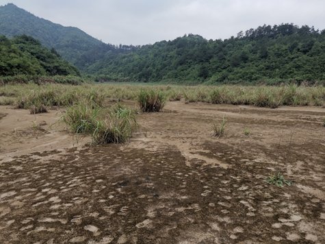 image.png 人工诱导生物土壤结皮修复矿山和废弃尾
