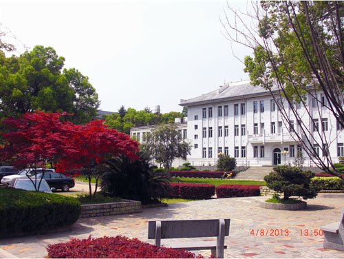 综合楼春色