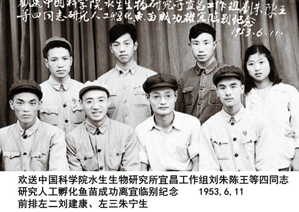 1953年水生所四大家鱼人工繁殖工作