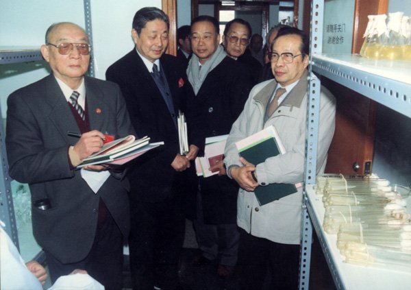 本站按公开材料组织页面