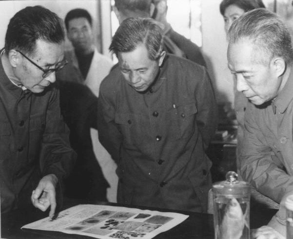 主页 | 上5页 | 1990年