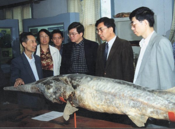 发布时间