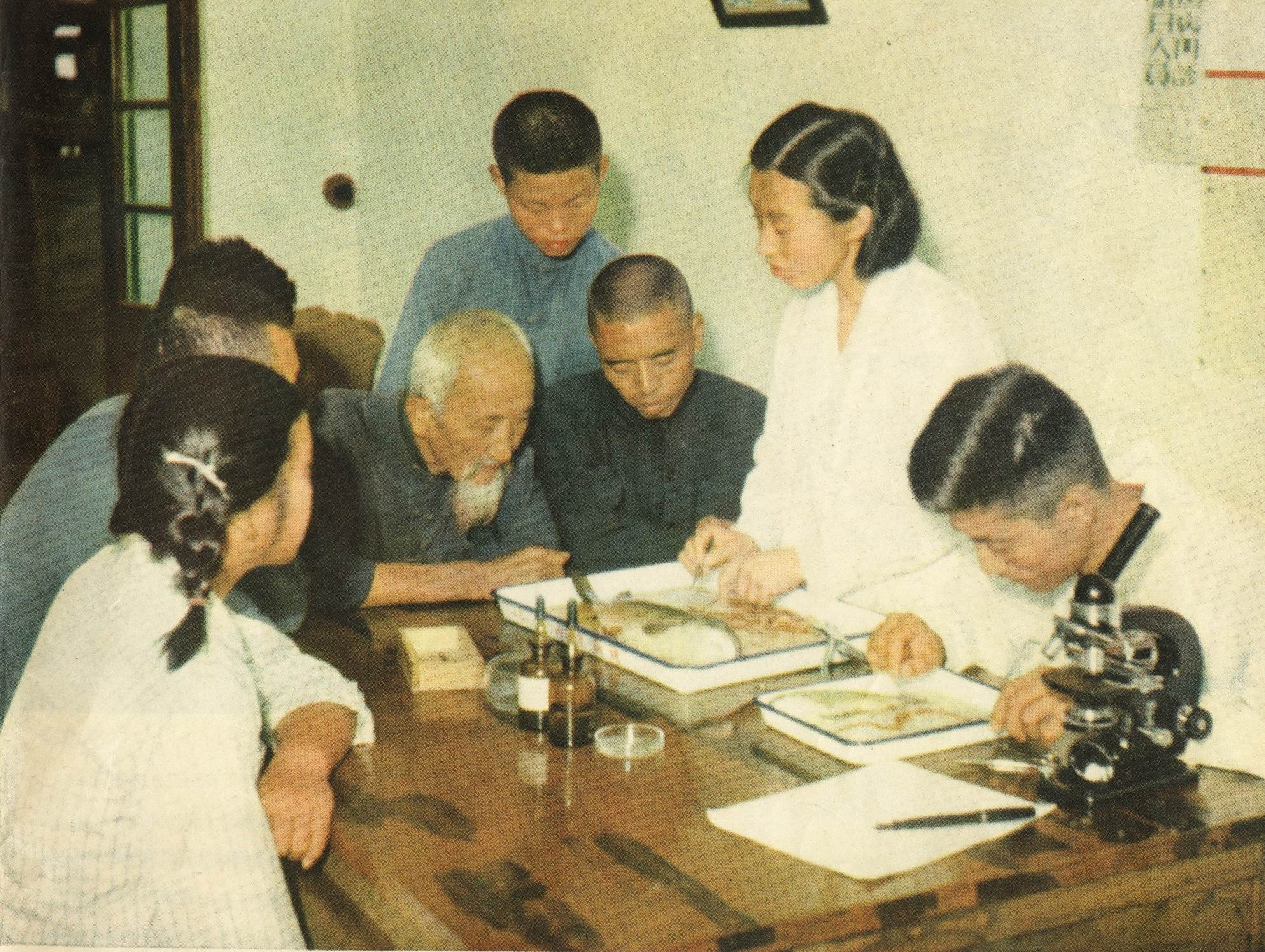 需要原文时请核对应栏目发布页