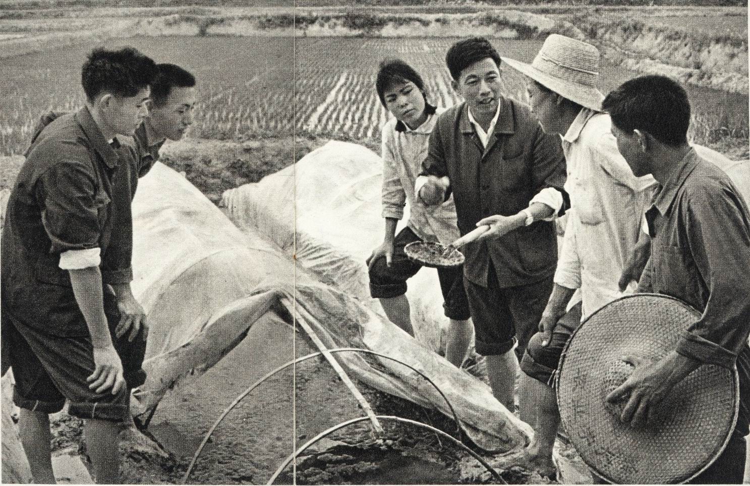 主页 | 下5页 | 鱼病研究室倪达
