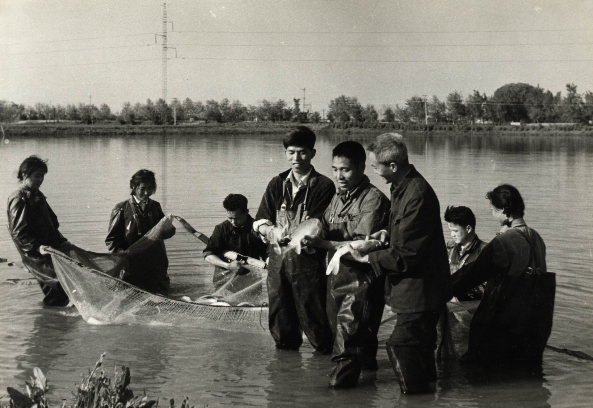 1972年开始