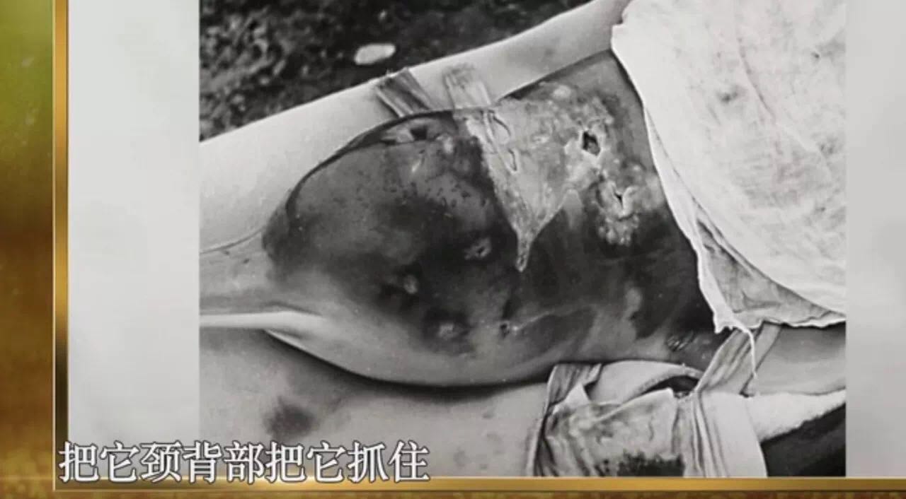 发布时间