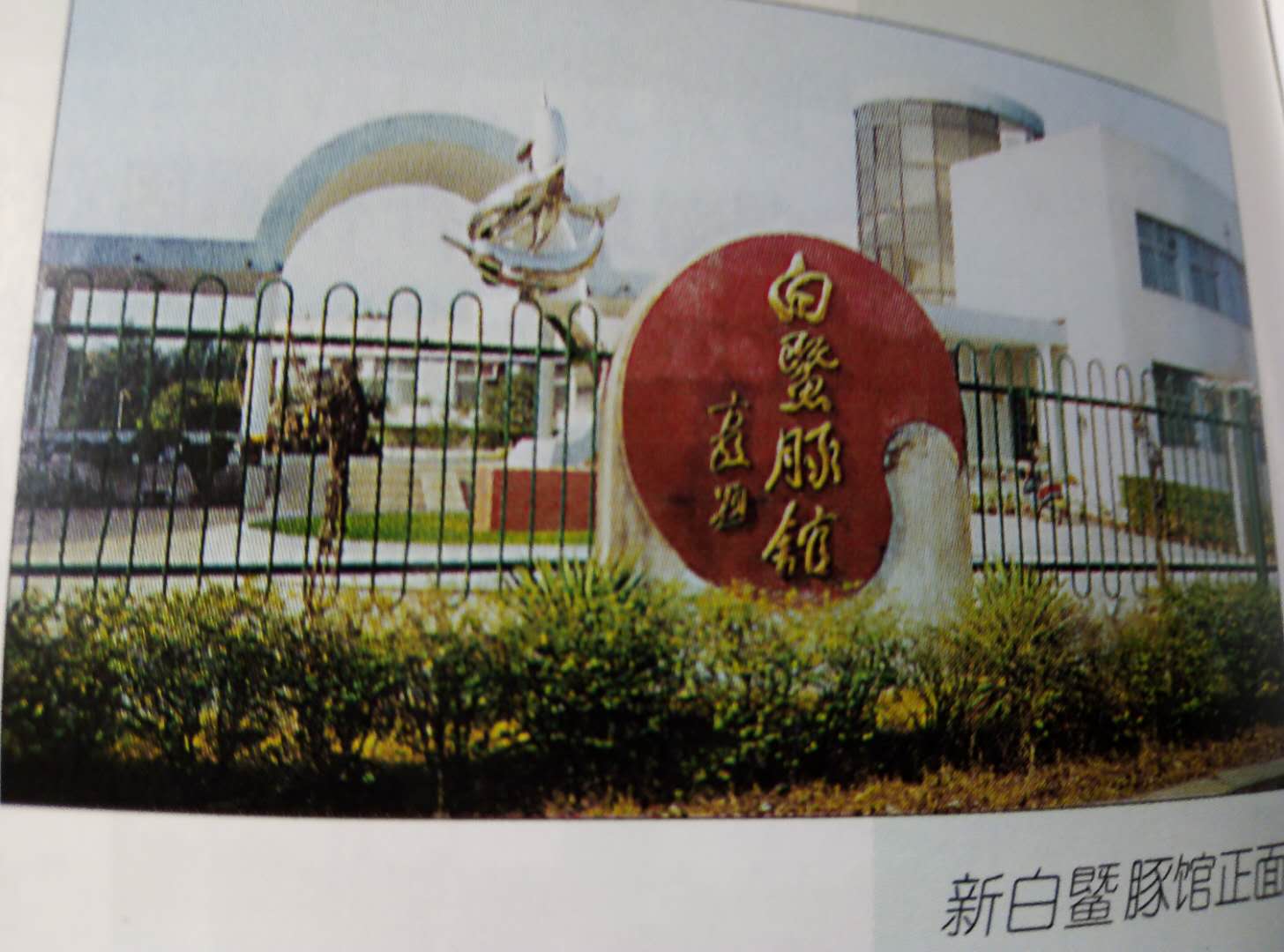 走遍了长江沿岸的大小河流和湖泊