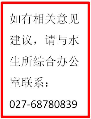 继续浏览