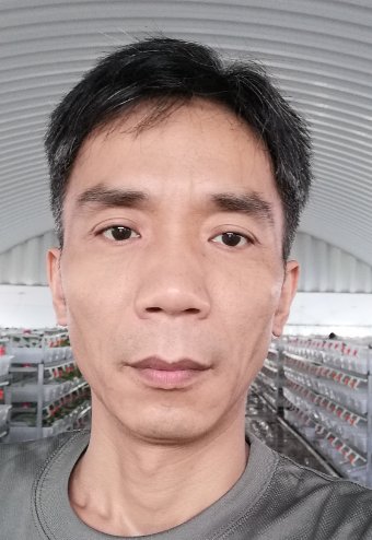 需要原文时请核对应栏目发布页