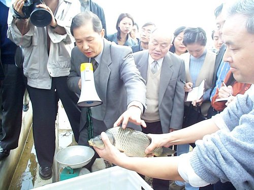 继续浏览