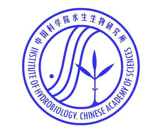若从搜索引擎进入