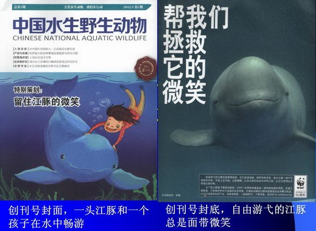 以下内容与「星空体育彩票成为多特蒙德