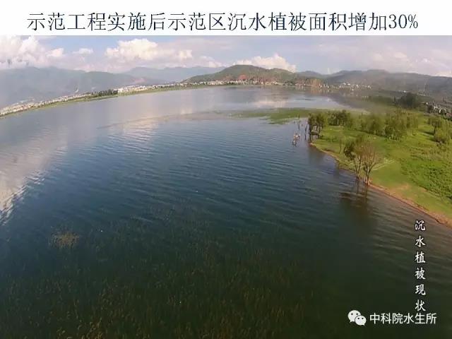 习总书记立此存照,水生所在洱海干了些啥?
