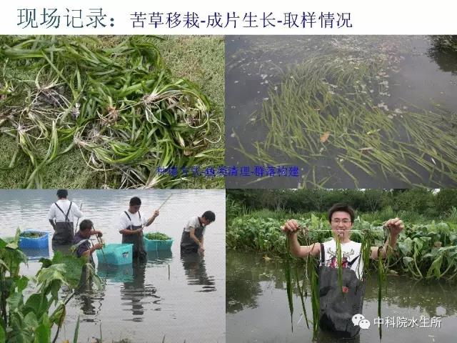 发布时间