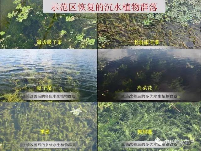 2020-06-24 | 来源