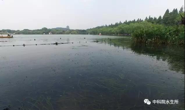 发布时间