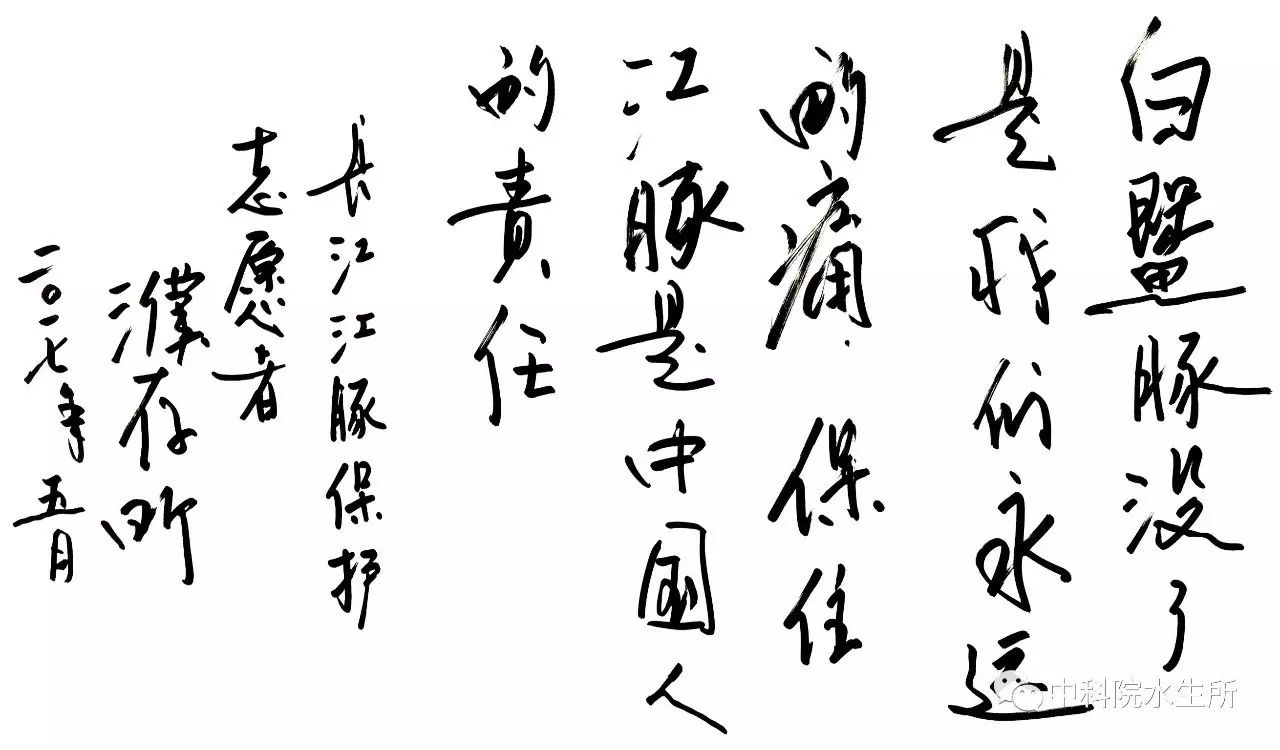 中国戏剧家协会主席