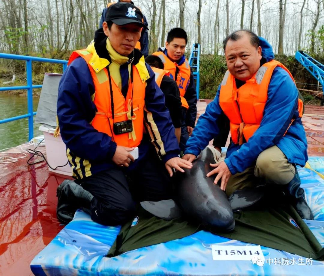 发布时间