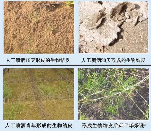 需要原文时请核对应栏目发布页