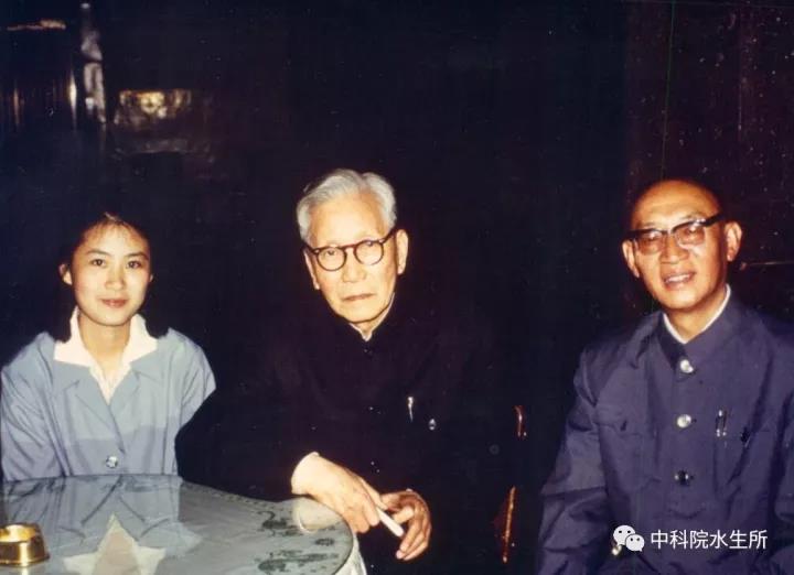职业为药师
