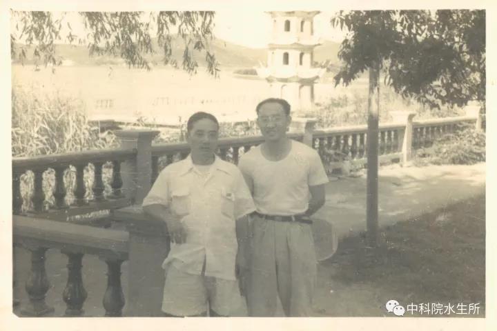 操持家务