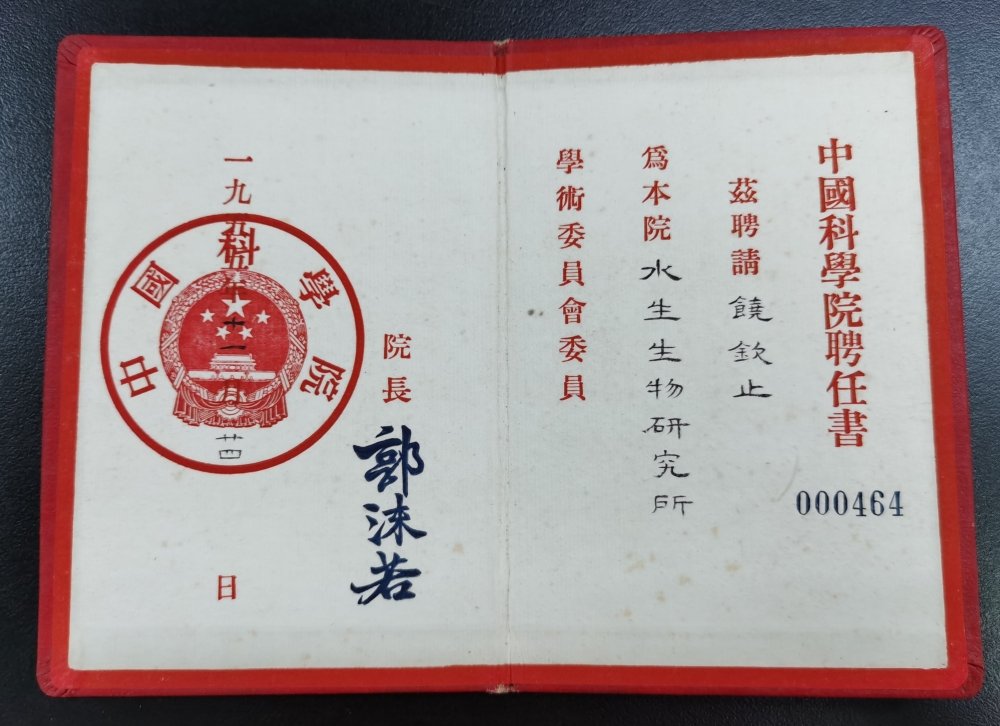 实物档案收集整理（实时更新）