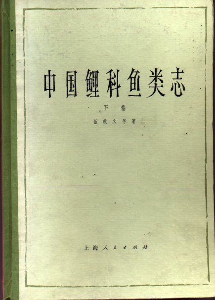 公布时间